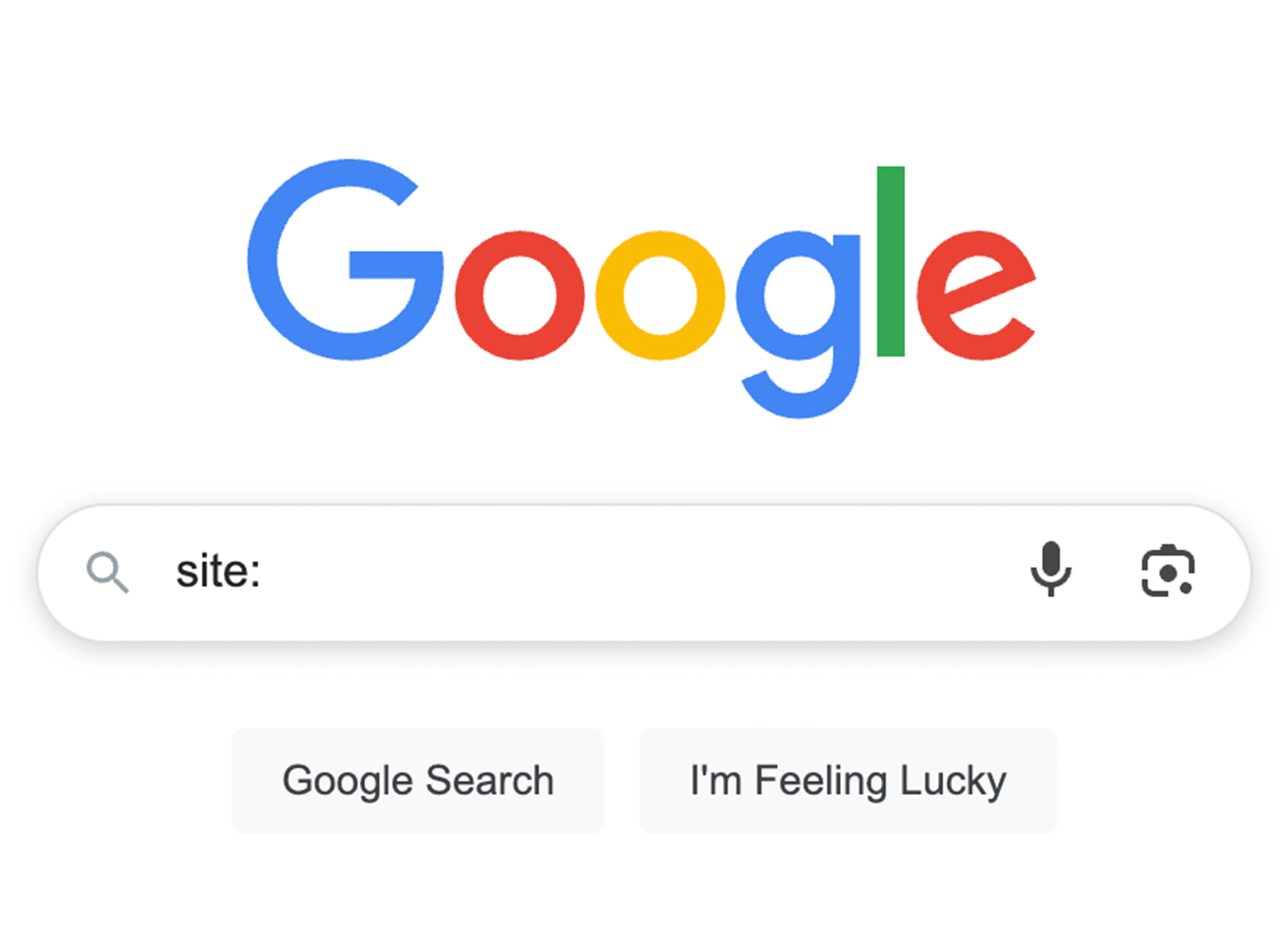 Searching a specific website