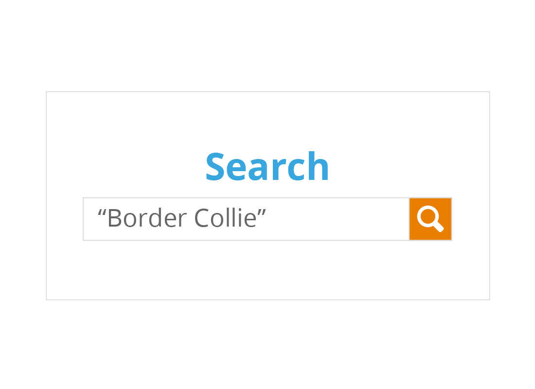 A sample search field with the words 'Border Collie' typed in and encased by quotation marks