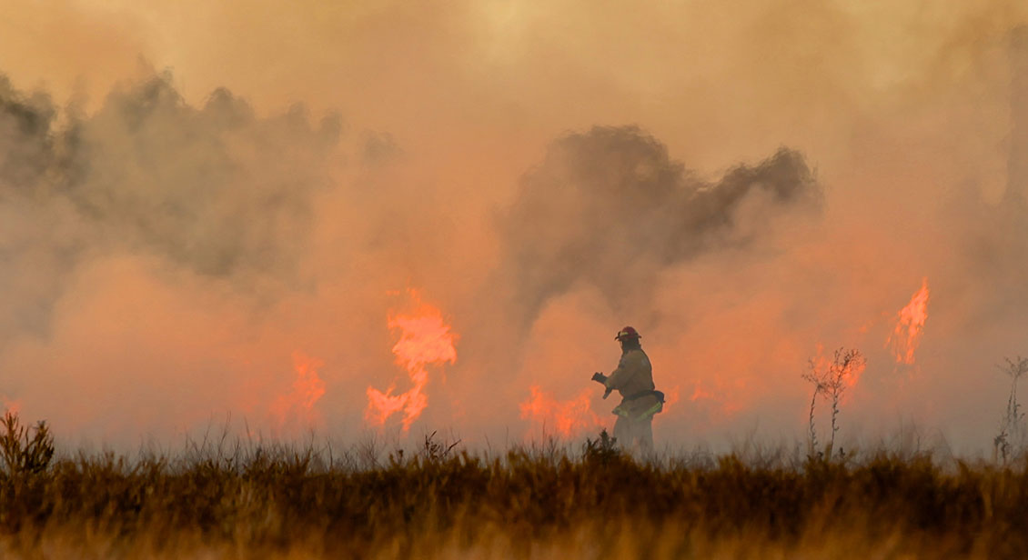 Rural firefighter at edge of bushfire