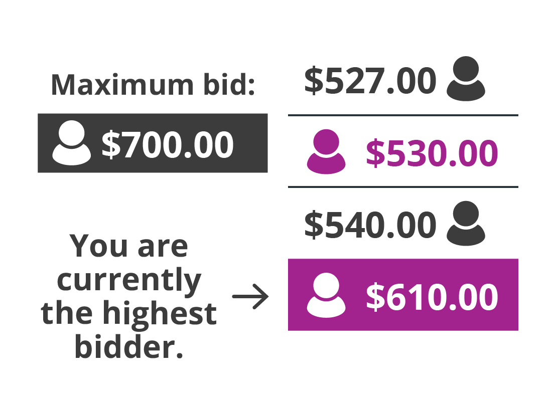 You can increase your maximum bid at any time during an auction.