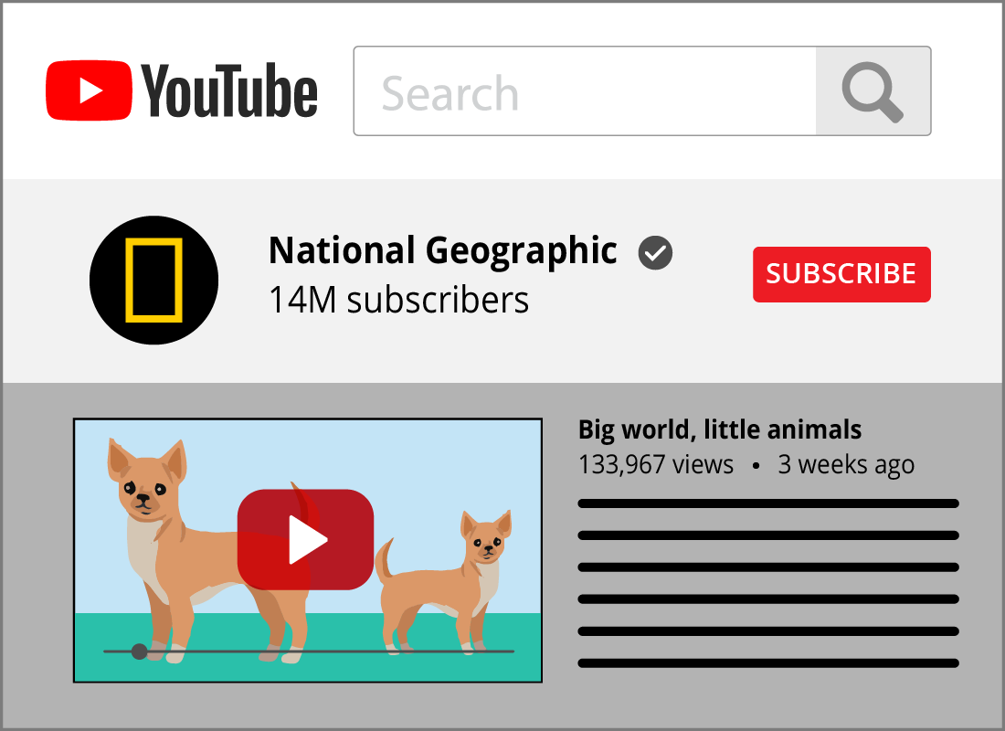 YouTube has videos on almost any subject under the sun, some are amateur videos and others are produced by professional tv companies, businesses and academics.