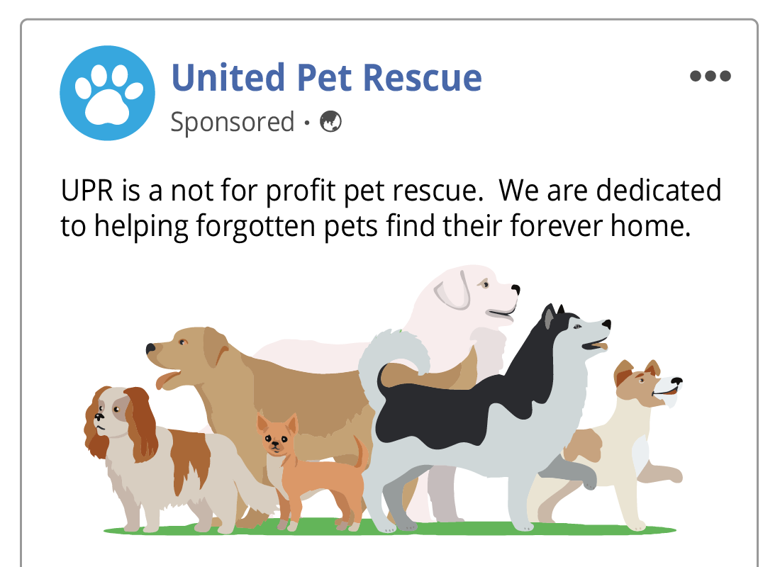 A close up of the Suggested post, showing the Sponsored label which can be hard to see.