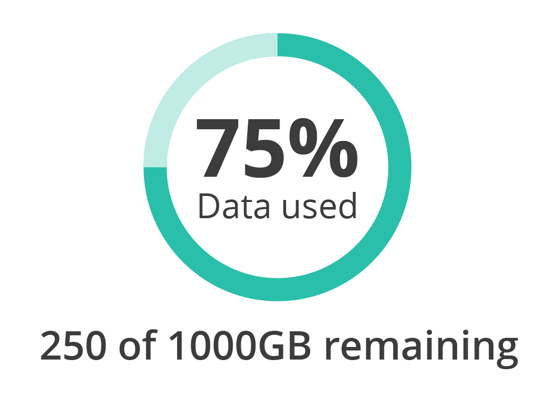 A diagram of how much data has been used