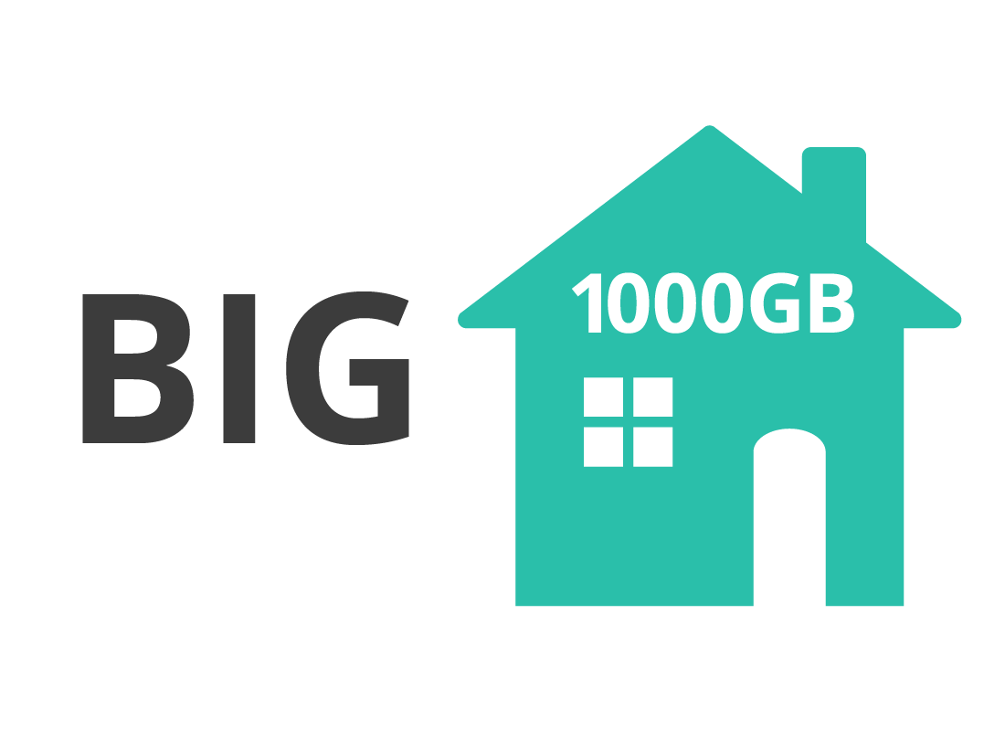 A big plan for a home internet is 1000GB