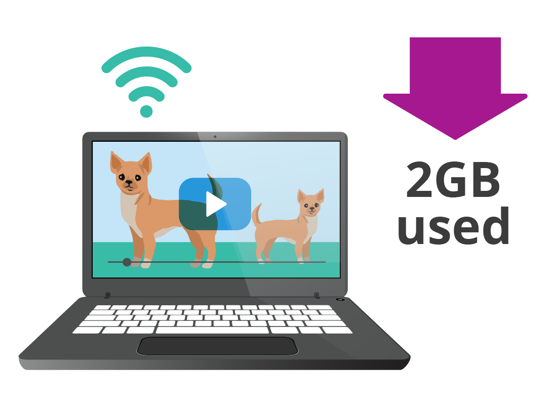 A zoomed-in view of the number of GBs of data being used when watching a movie online