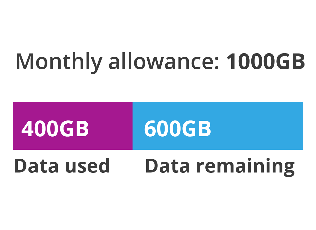A diagram displaying only 1GB of data is left on the plan