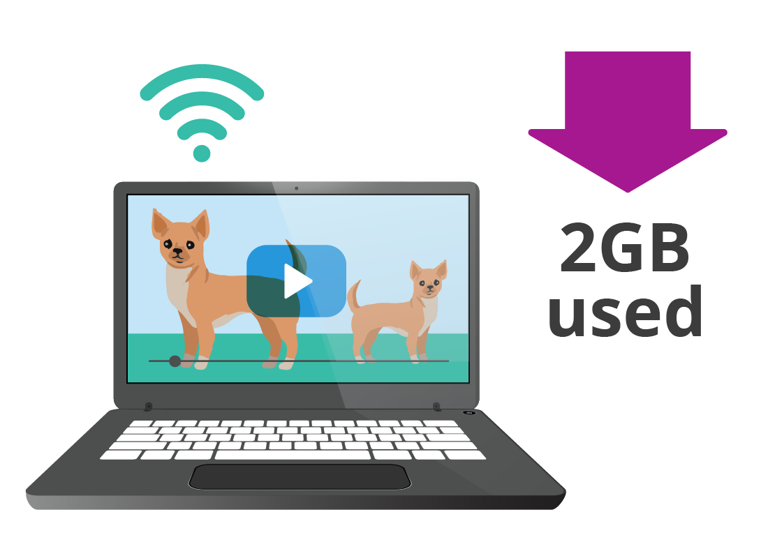 A diagram indicating 2GB of data have been used watching videos.