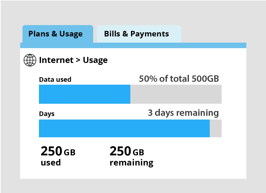 A graph of internet data usage showing how much data remains for the billing period
