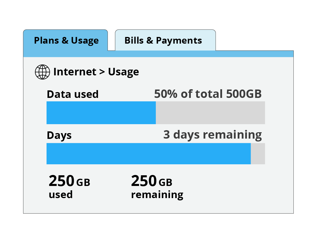 A graph of internet data usage showing how much data remains for the billing period