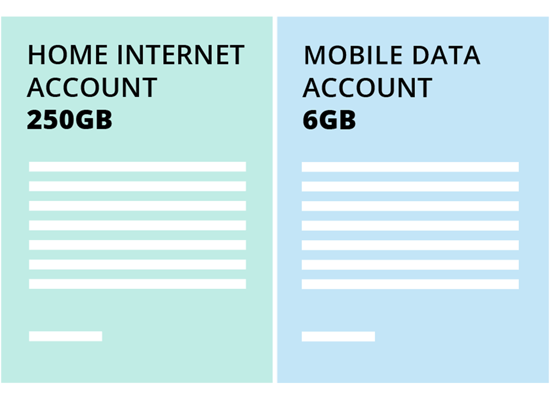 Two separate internet plans one for home data and the other for mobile data
