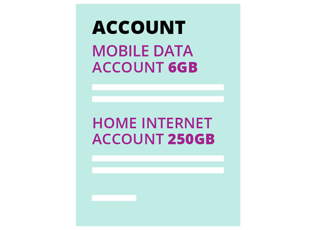 A graphic of a bundle internet plan, including home and mobile data on the same plan