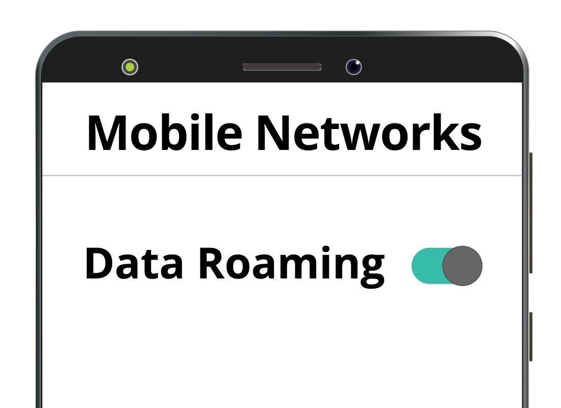 A mobile phone screen showing the Data Roaming option set to 'on' in settings