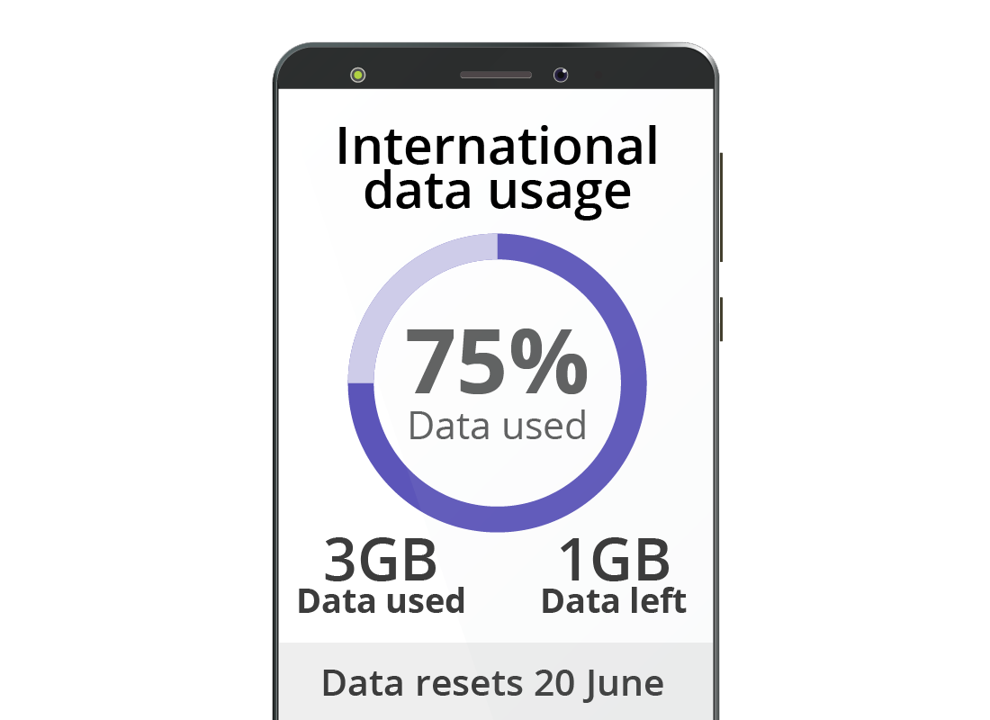 A screen showing an app or tool to track your data use overseas