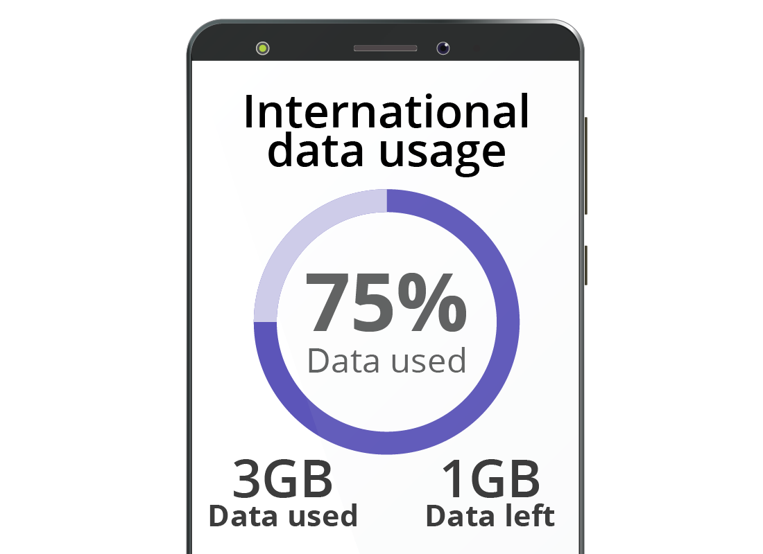 A screen showing an app or tool to track your data use overseas