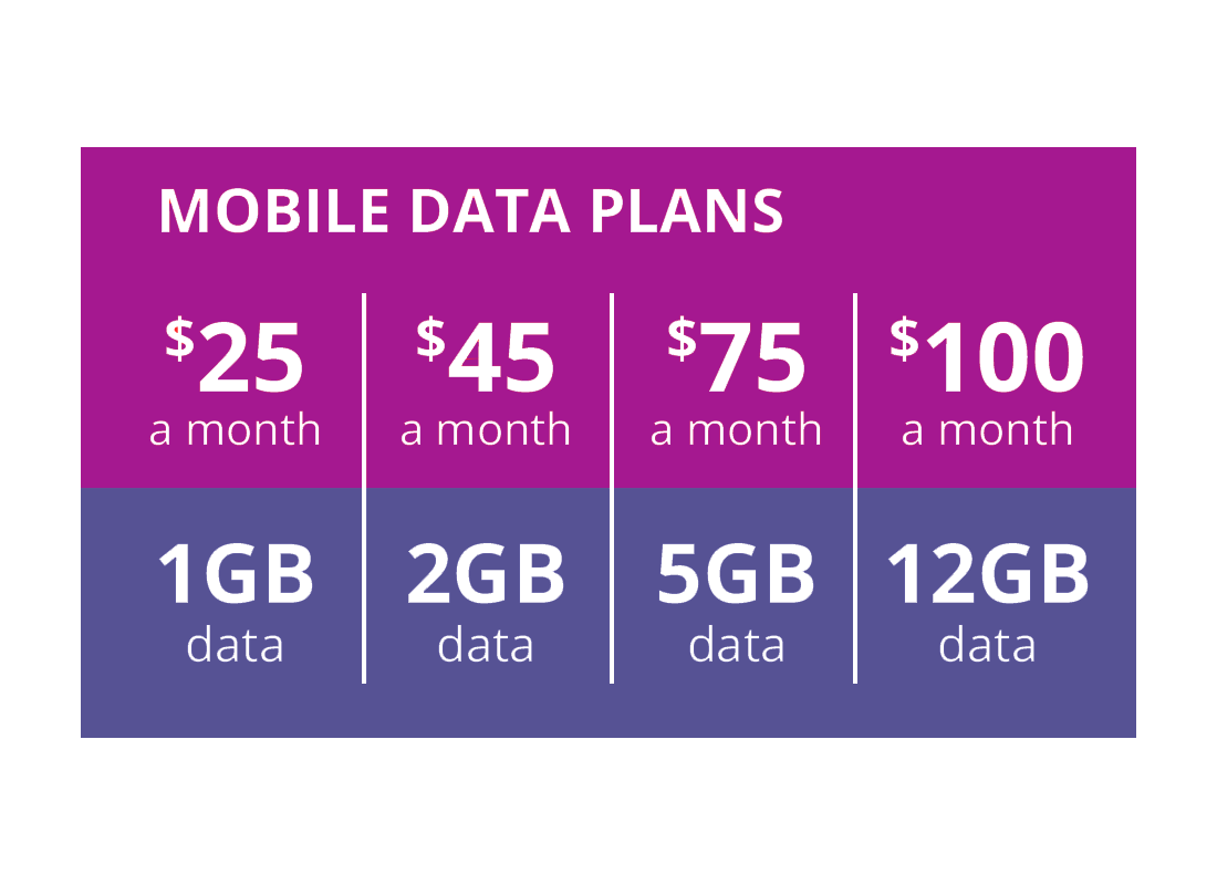 Mobile data plans come in small, medium, large and extra large sizes