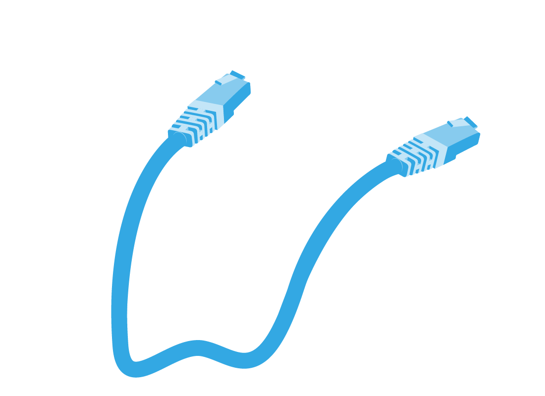 An illustration of a typical cable - with an identical plug at both ends - used to connect devices to a router