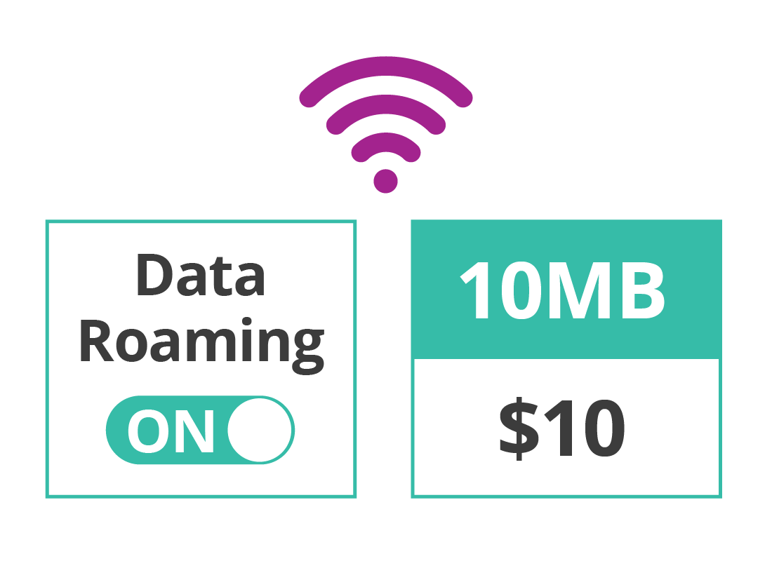Data roaming charges