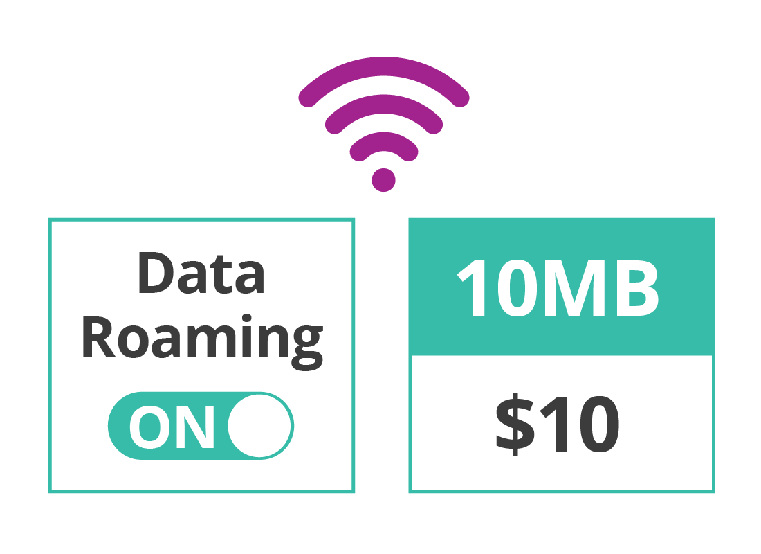 Data roaming costs and data allowance