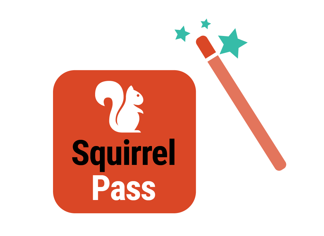 Squirrel Pass with a magical wand