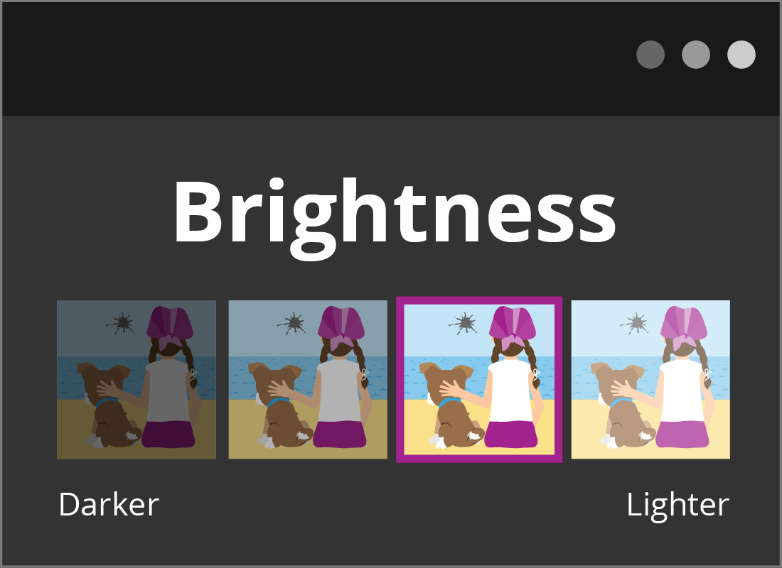 The Brightness adjustment panel on Squirrel Editor