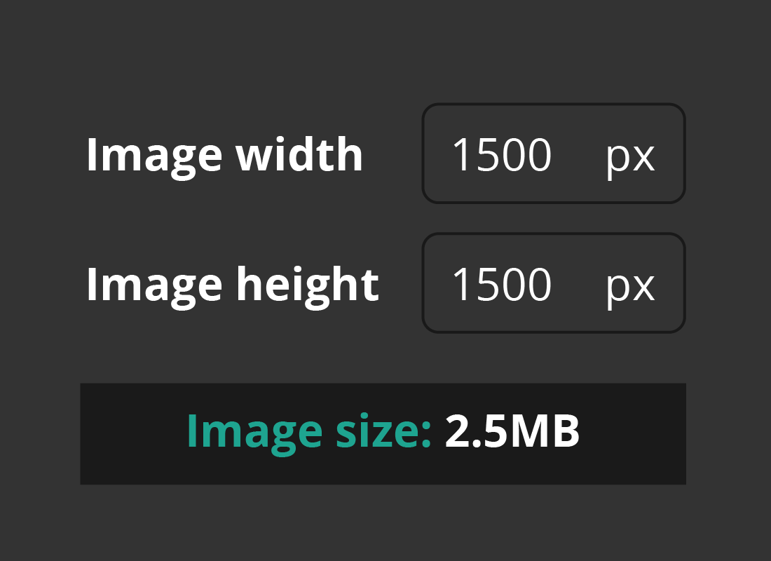The image width, height and size properties of a photo in an editor