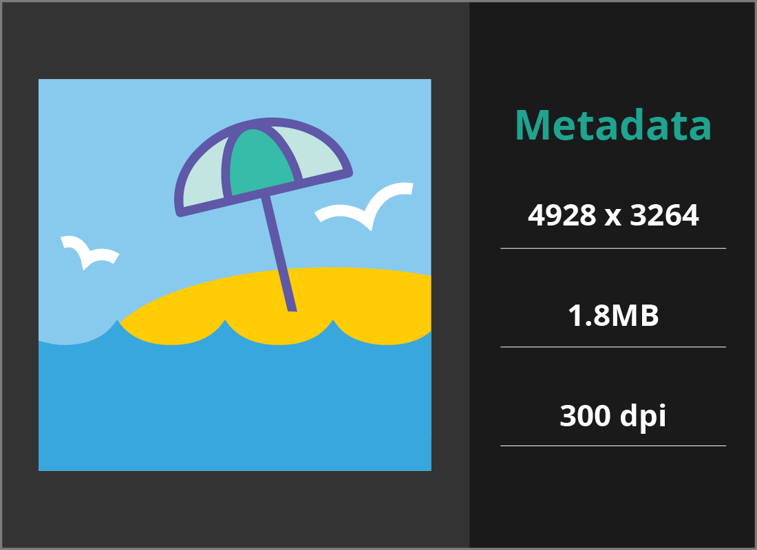 An example of some metadata for a photo, including the pixel width and height, the file size and the dpi value