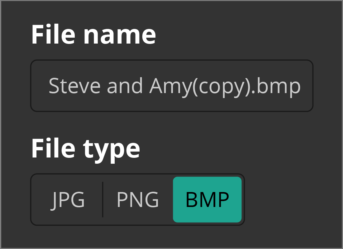 The File name and File type selections for a photo in an editor