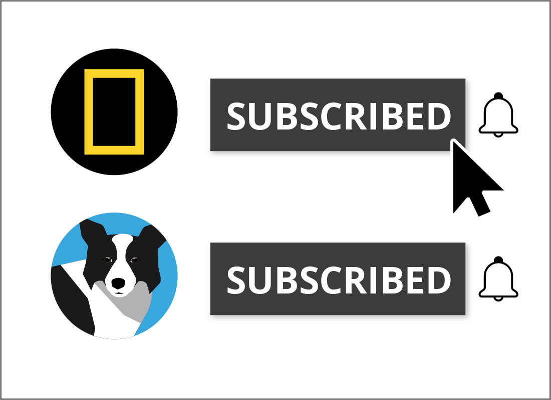 A graphic of some Subscribed channels on YouTube