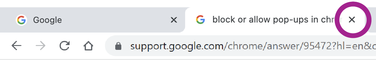 The top of a web page, known as the tab, and the little x that closes it