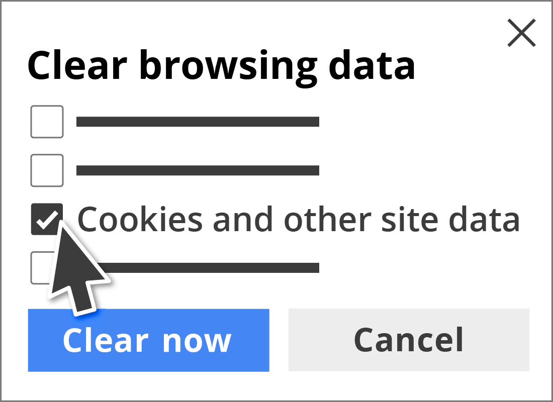 An illustration of the Cookies and other site data menu option