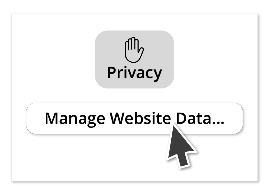 An illustration of the Manage Website Data button