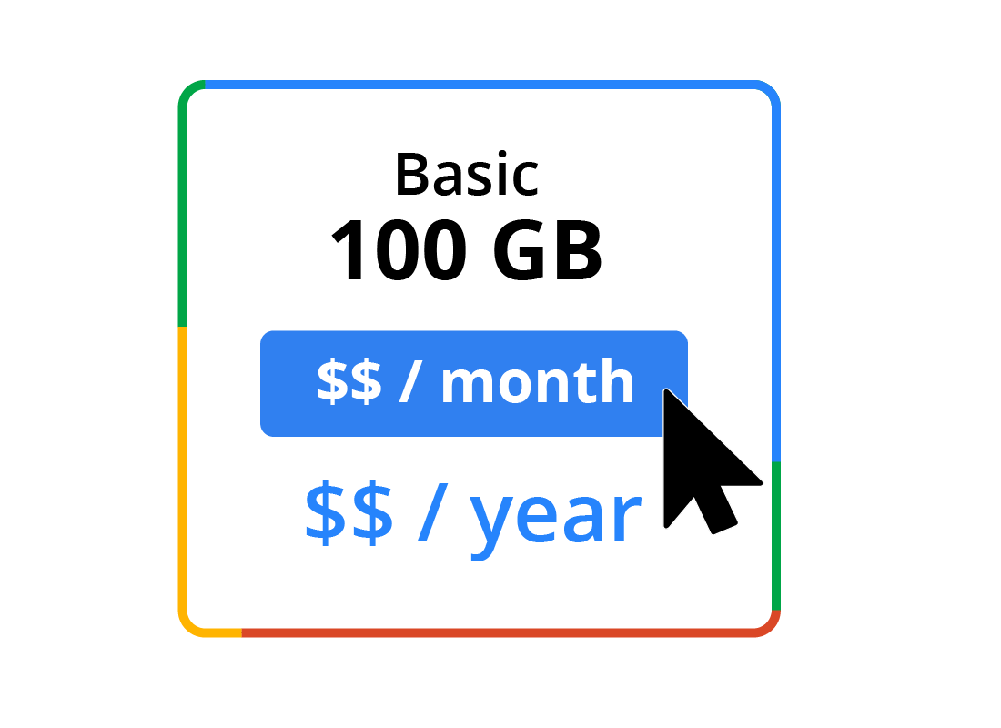 The Basic 100GB paid by the month option button