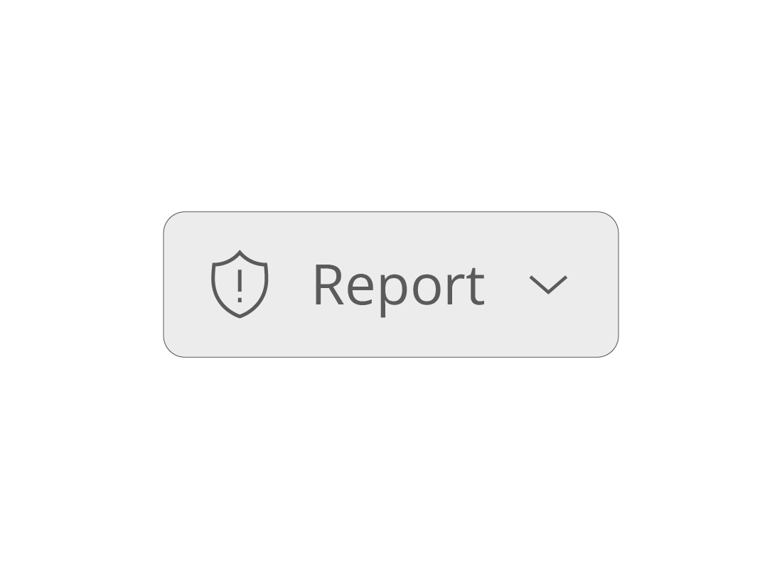 The Outlook Report button