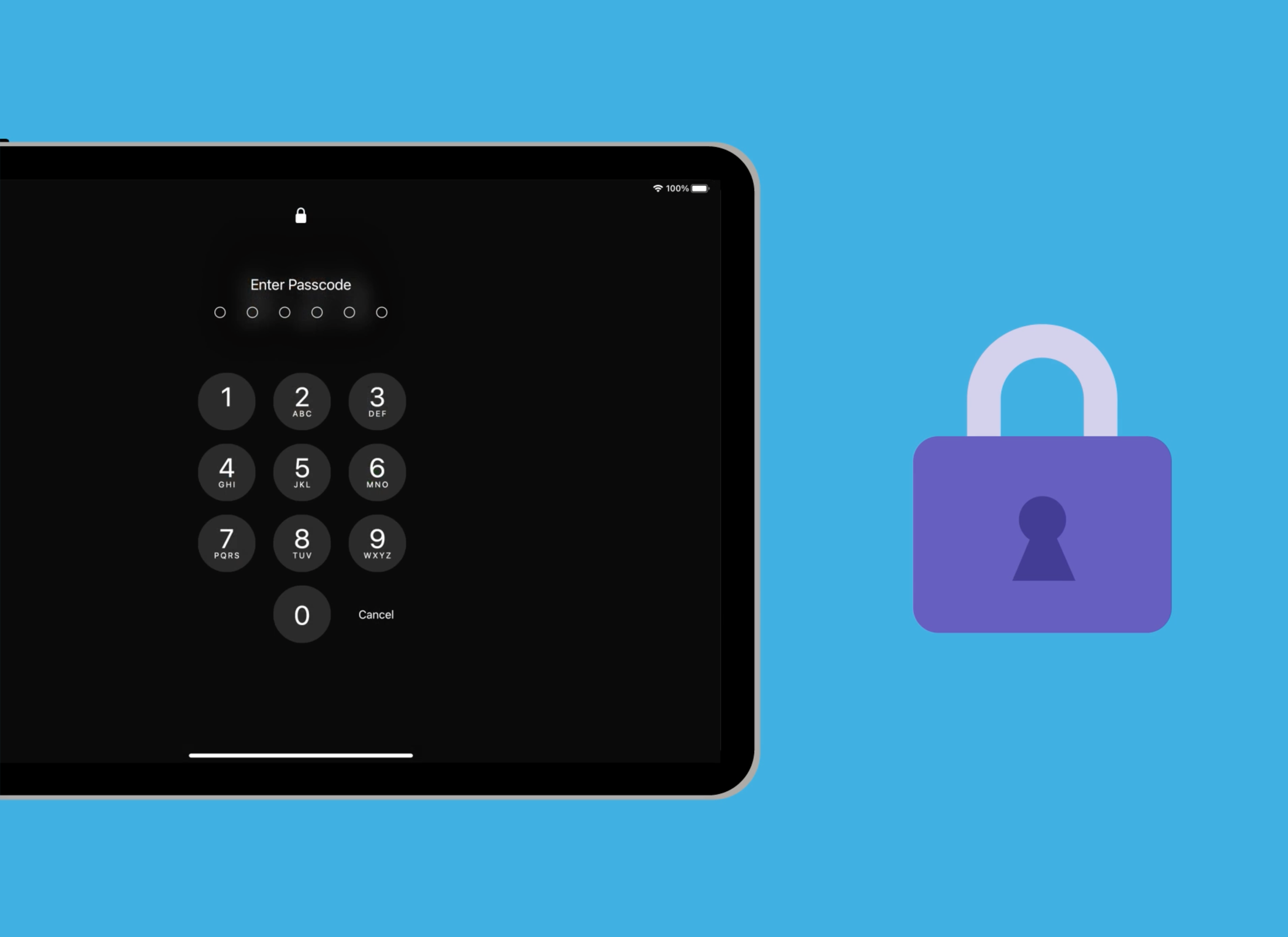 iPad security